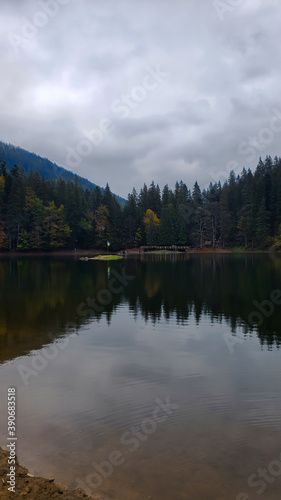 Lake in the middle of the forest in the mountains