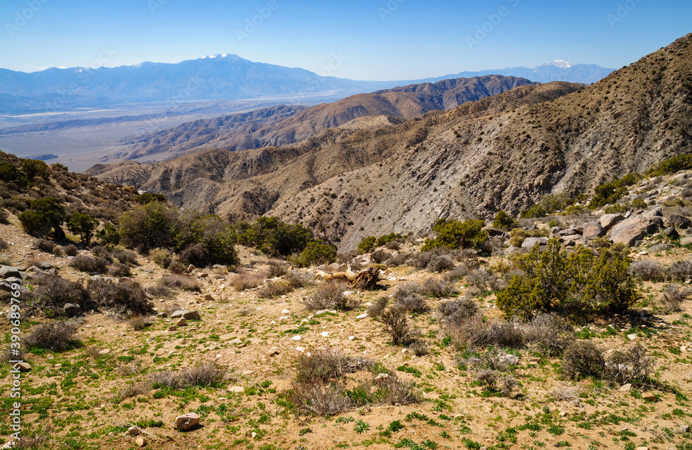 Joshua Tree National Park Joshua Tree National Park