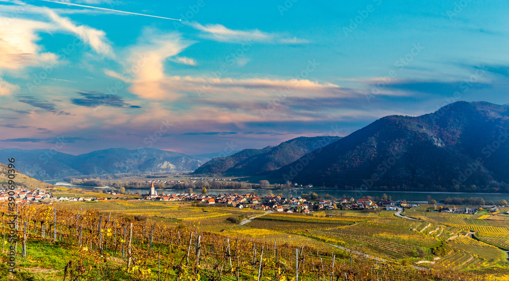Weissenkirchen in der Wachau. Autumn vineyards Wachau valley. Lower Austria.