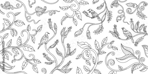Outline Hand Drawn Various New Zealand Bird Adult Coloring