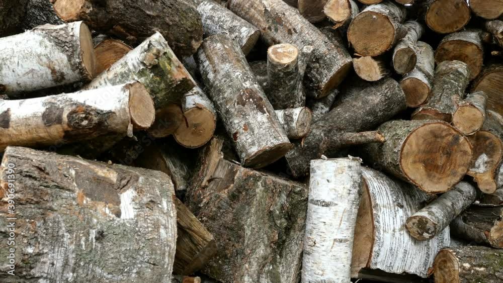 Pile of cut birch logs of different cross-sections are piled up on backyard or warehouse as preparation for heating season to heat home. Left to right moving. Close-up. Pile of cut birch logs of different cross-sections are piled up on backyard or warehouse as preparation for heating season to heat home. Left to right moving. Close-up.