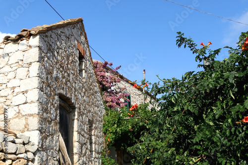 Traditional Mediterranean house and garden in Dalmatia, Croatia. Selective focus.
