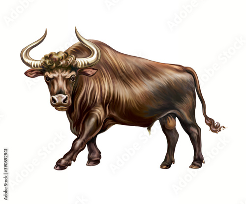 Vászonkép The aurochs or rarely aurochsen, urus or ure (Bos taurus primigenius)