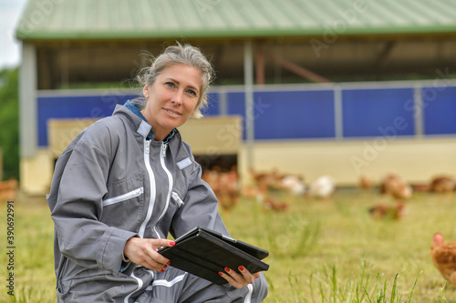 Female farmer analysing the growth of her chicken breeding on her tablet