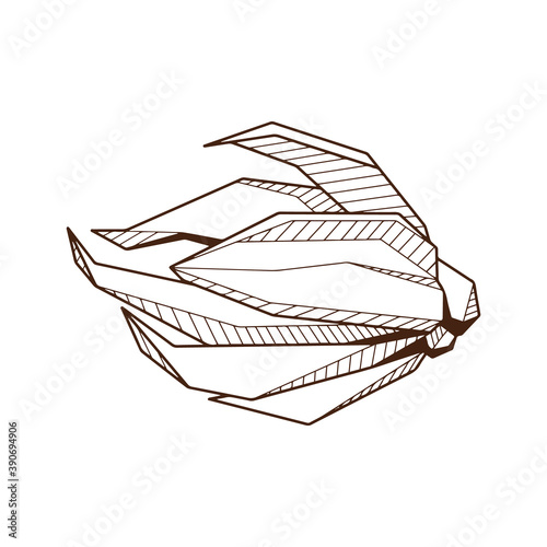 Hand drawind geometrical flower bud, Ylang-Ilang bud line art © DoubleM