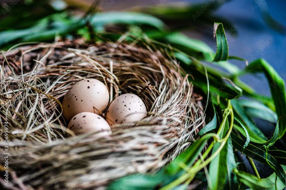 Obraz premium Easter card concept