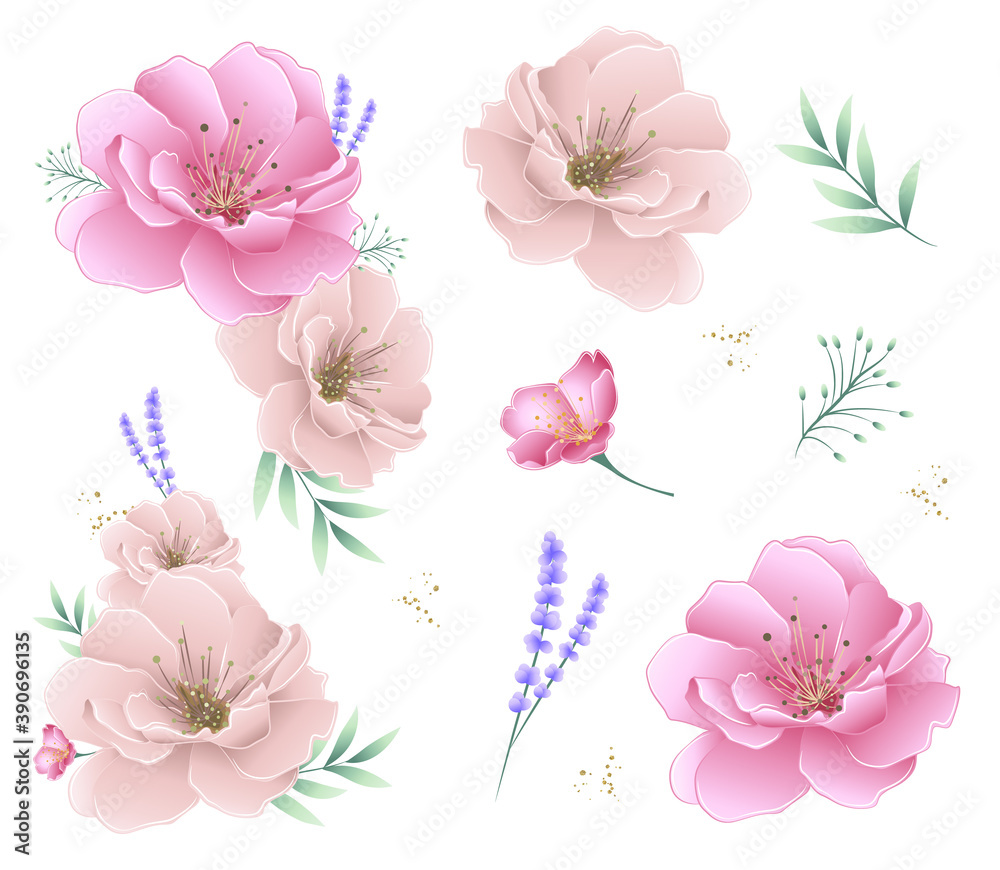 colourful set of beautiful flowers and leaves colourful set of beautiful flowers and leaves