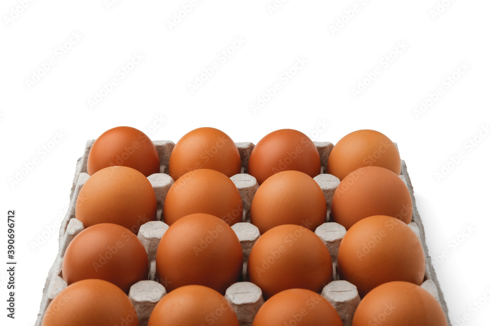 Chicken eggs in a container from below isolated on a white background.