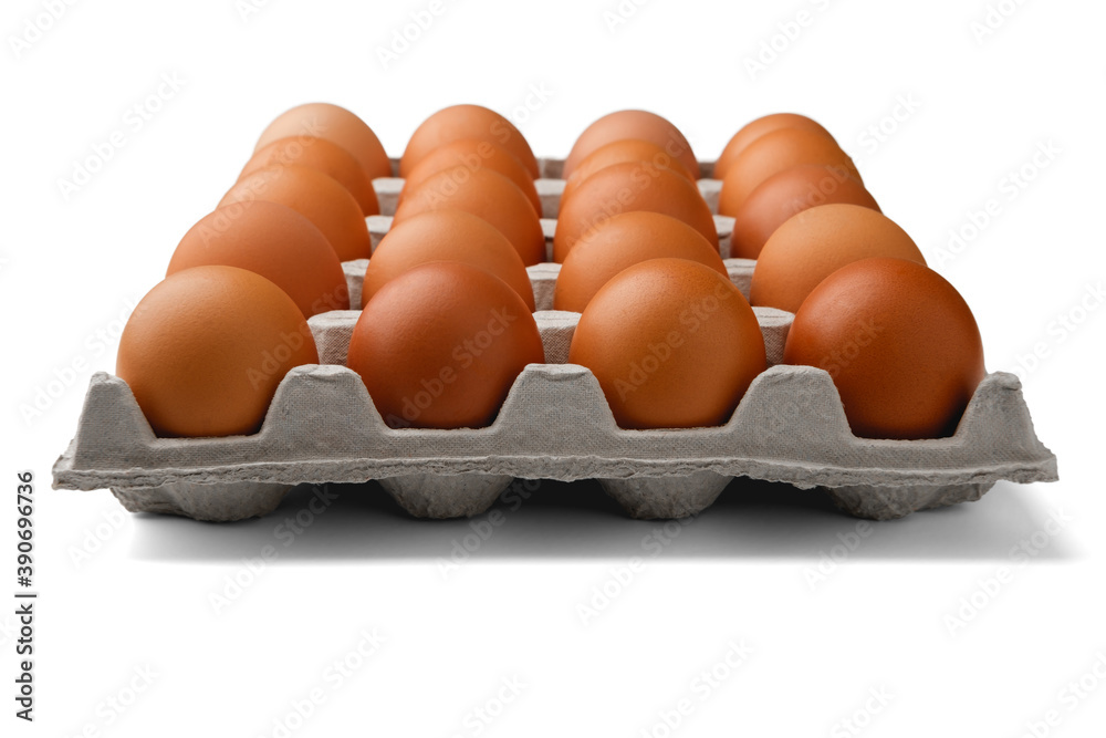 Chicken eggs in a container in the center isolated on a white background. Chicken eggs in a container in the center isolated on a white background.