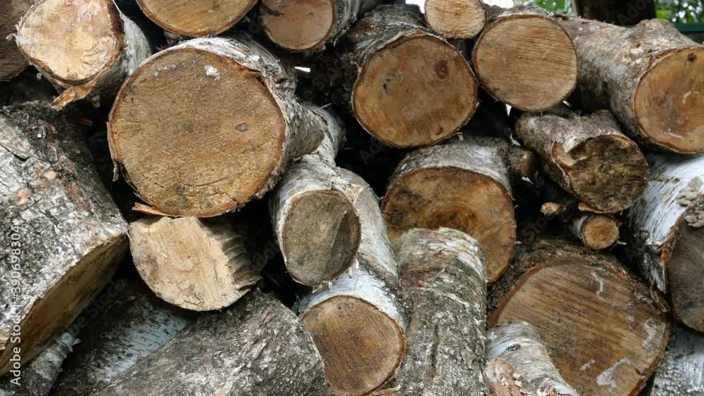 Pile of cut birch logs of different cross-sections are piled up on backyard or warehouse as preparation for heating season to heat home. Right to left moving. Close-up. Pile of cut birch logs of different cross-sections are piled up on backyard or warehouse as preparation for heating season to heat home. Right to left moving. Close-up.