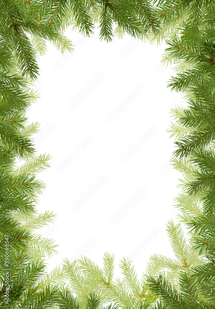 Christmas frame made of fir tree branches isolated on white background