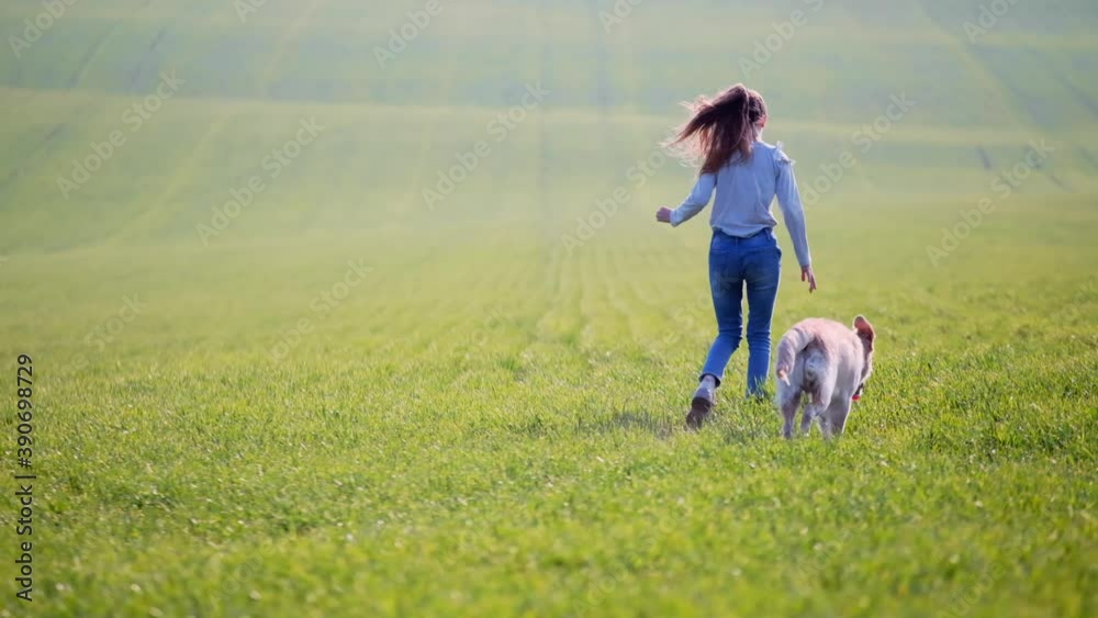 Lovely dog walking on sunny field with teenage girl Lovely dog walking on sunny field with teenage girl