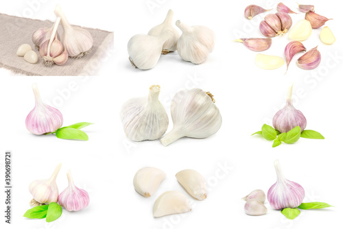 Group of Garlic isolated on a white background
