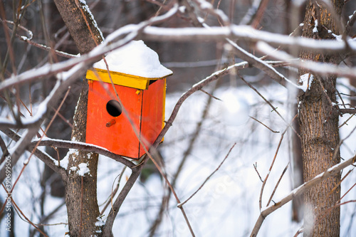 Birdhouse on a tree. A red birdhouse hangs on a tree in the forest in winter. It's snowing in the forest. Winter landscape © borislav15