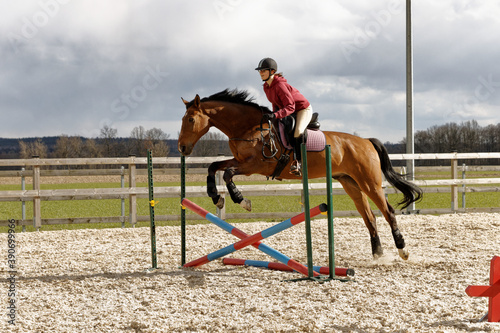 Person riding a horse without bridle or halter. Horse jumping through obstacle. Female rider is holding bridle in hand. © Fotema