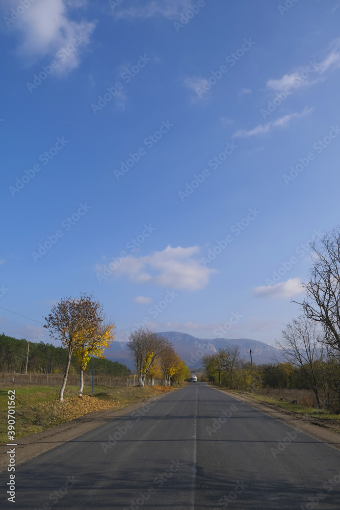 Wonderful view of the park with trees along the road, in an autumn day.
Wonderful view of the park with trees along the road, in an autumn day.