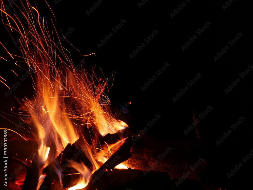 Fototapeta premium Campfire in the woods during night 