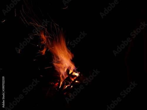 Campfire in the woods during night  © doroteya