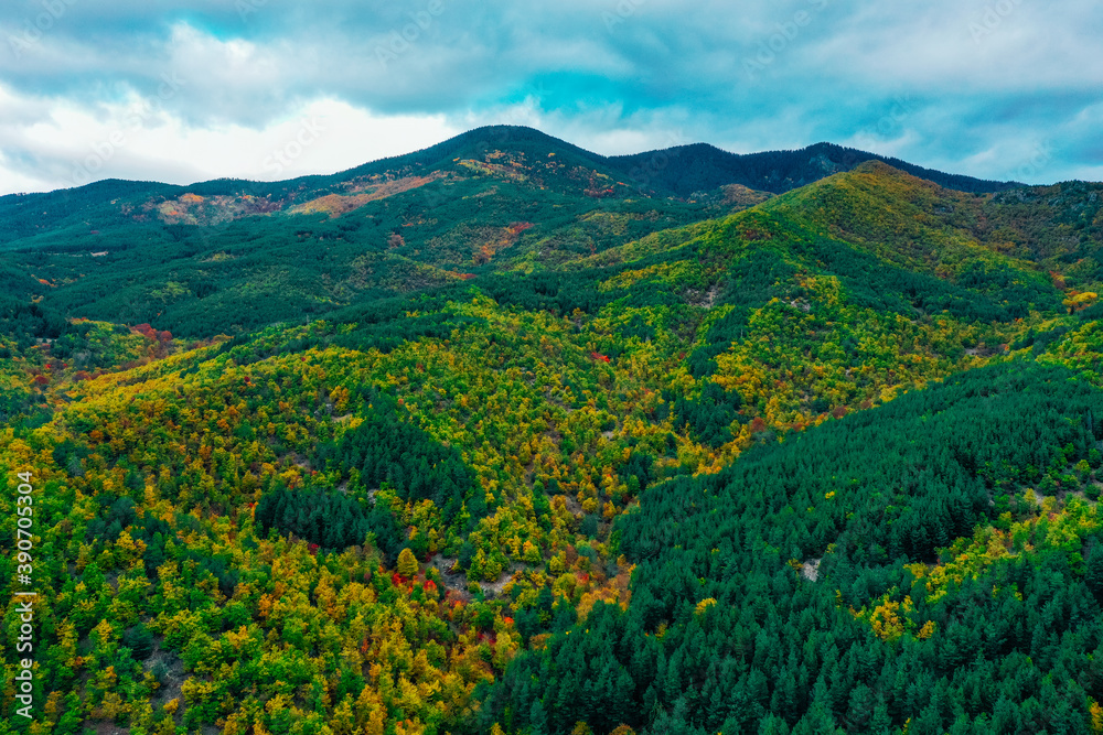 Beautiful autumn landscape, green and yellow trees. Areal flight , drone view from top and above. Fall season in hills.