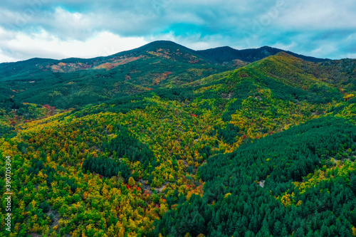 Beautiful autumn landscape  green and yellow trees. Areal flight   drone view from top and above. Fall season in hills.