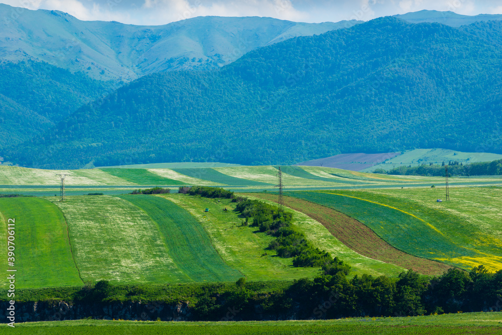 Fototapeta premium Beautiful landscape with field and mountains, Armenia