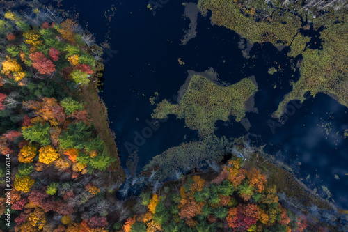 Fototapeta Naklejka Na Ścianę i Meble -  Aerial View on Lake at the forest during Autumn