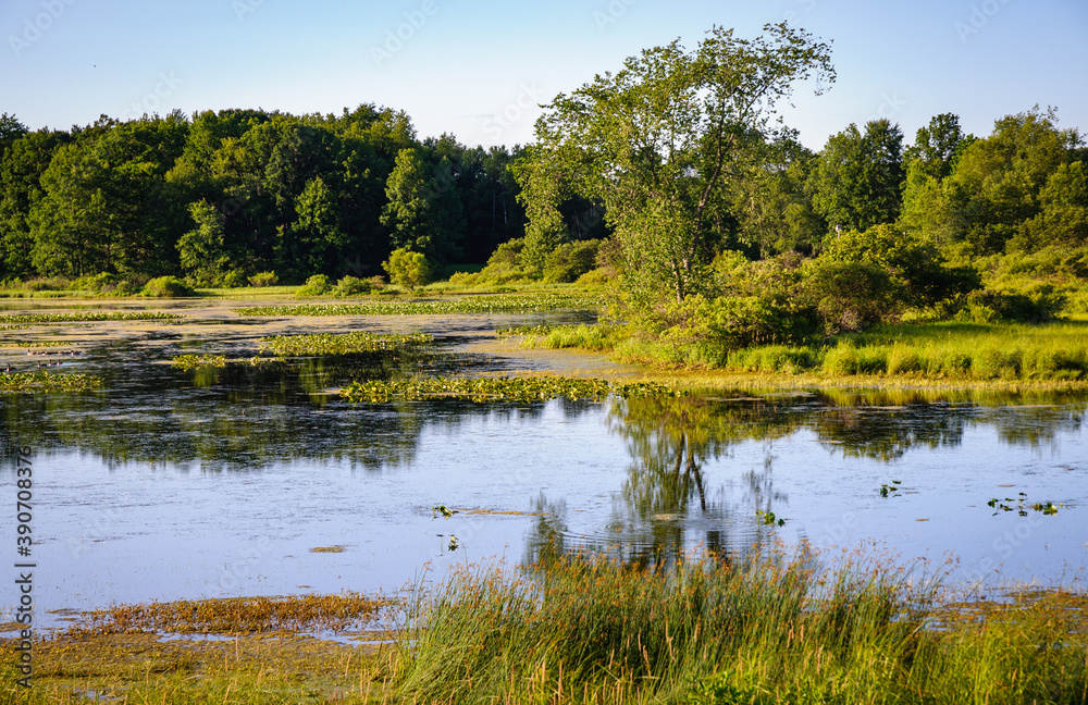 Jamestown Audubon Center and Sanctuary