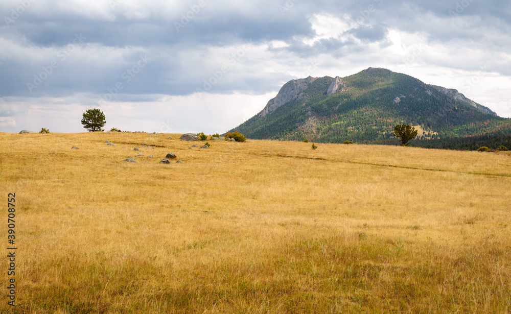 Fototapeta premium Rocky Mountain National Park