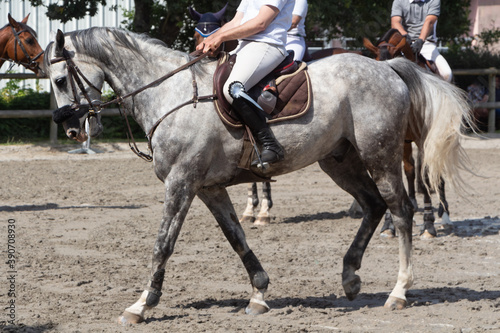 Man riding a gray horse at walking pace