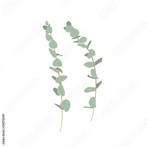 Elegant hand drawn eucalyptus twigs set. Isolated on white background. Stock vector