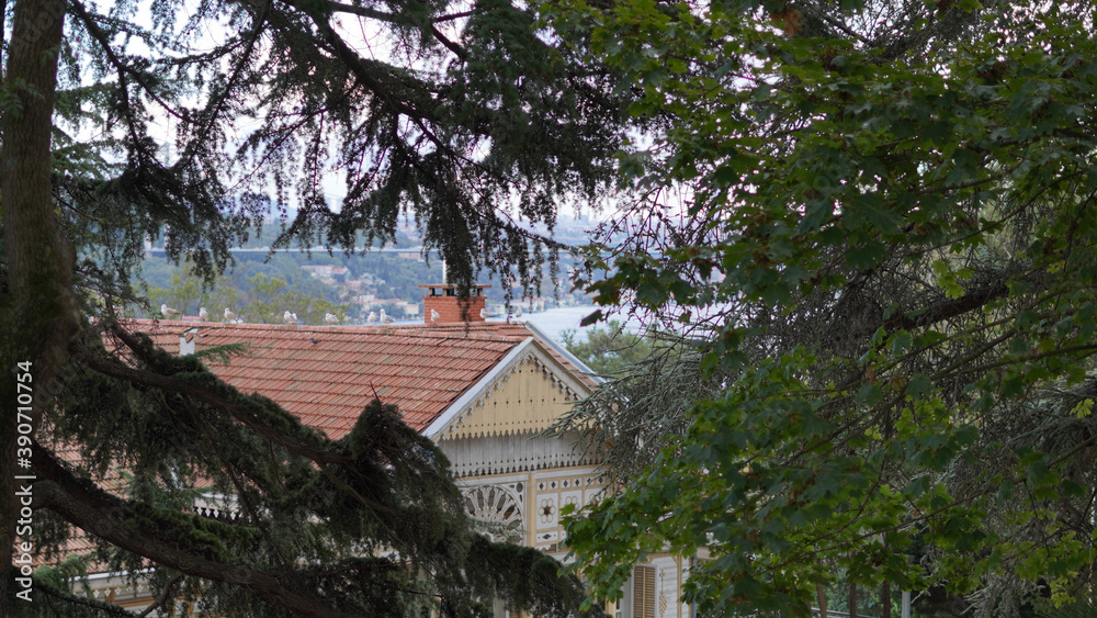 Fototapeta premium Cloudy and rainy day at Bosphorus İstanbul