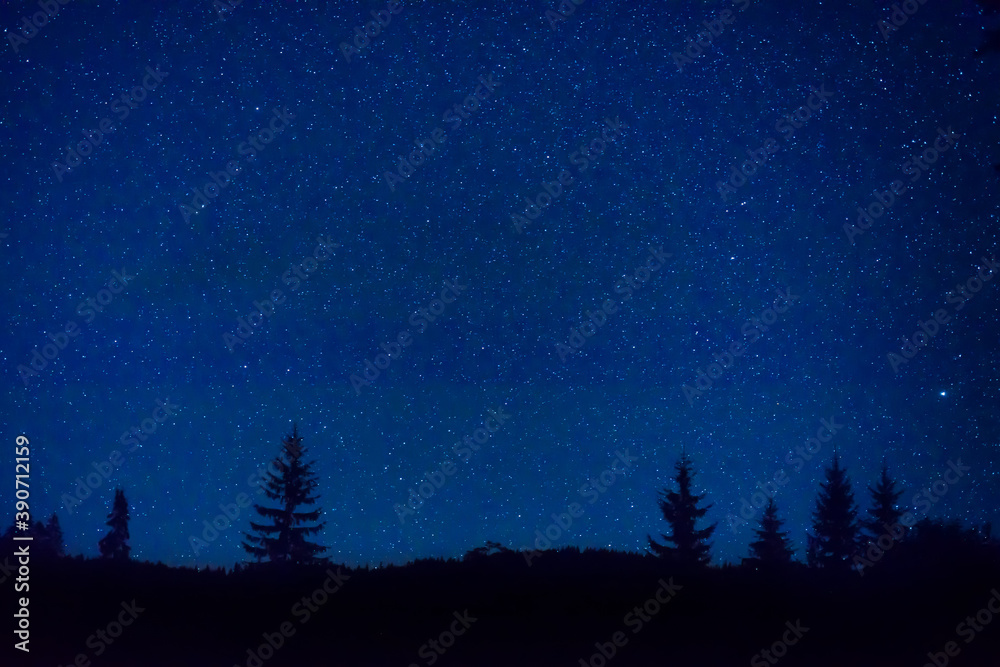 Forest and pine trees landscape under blue dark night sky with many stars, milky way cosmos background Forest and pine trees landscape under blue dark night sky with many stars, milky way cosmos background