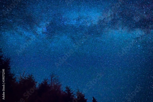 Forest and pine trees landscape under blue dark night sky with many stars  milky way cosmos background