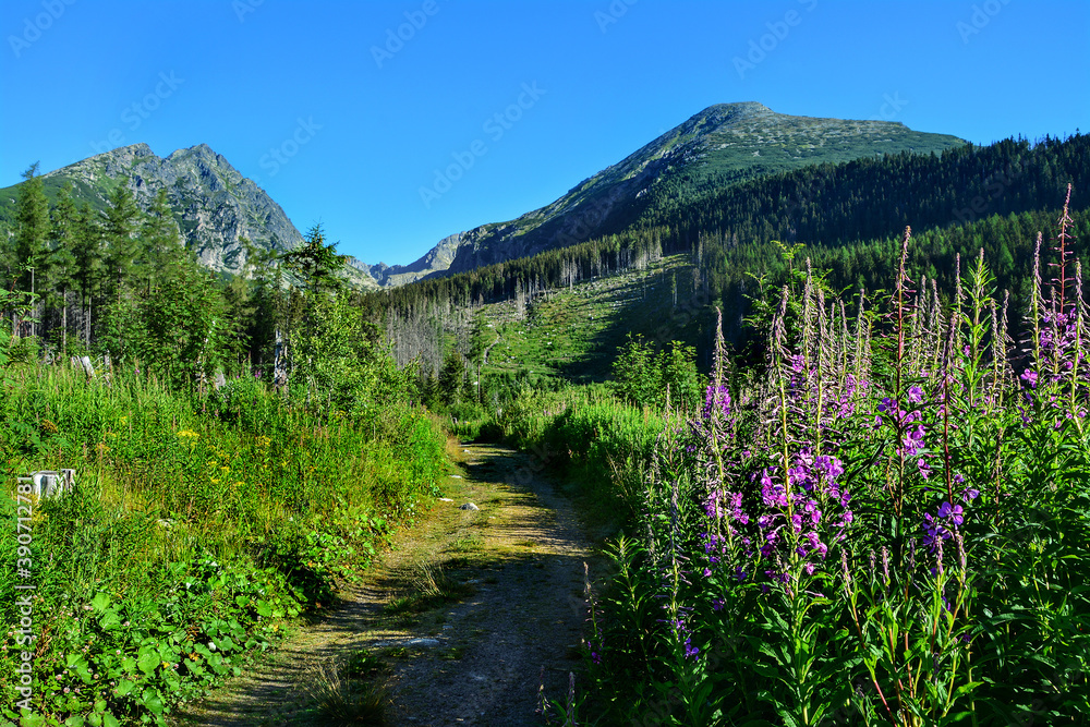 Fototapeta premium Tatra Mountains in Slovakia, beautiful mountain landscape