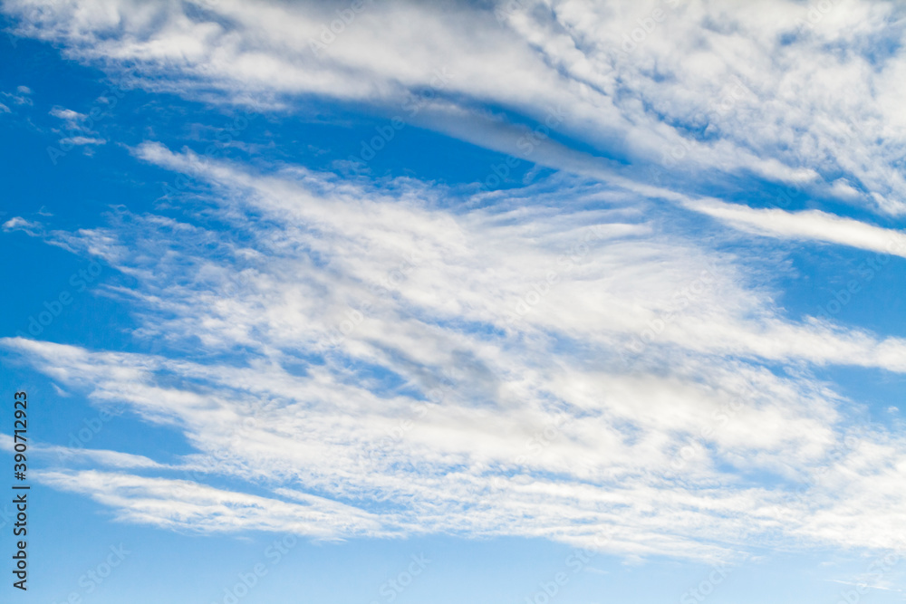 Fototapeta premium White altocumulus clouds are in a blue sky at daytime