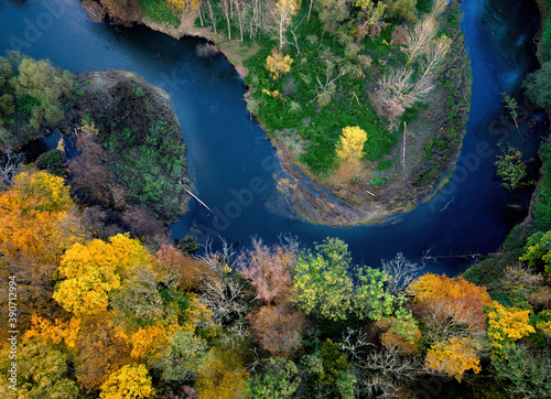 Aerial, vertical shot of a dark blue meandering river through autumn lowland forest. Orange, yellow and green trees and winding blue river. Autumn on the Moravian lowlands, Czech Republic.