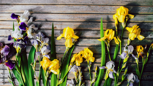 Yellow, white and purple irises on a wooden background. Shadows
