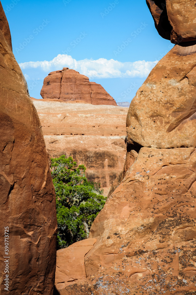 Fototapeta premium Arches National Park