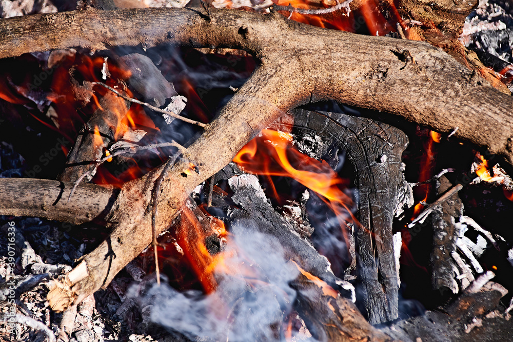Bonfire in the bush on a sunny day Bonfire in the bush on a sunny day