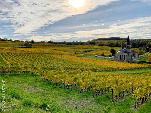 france,pays,savoie,jongieux,vignobles,vin production,yenne,lac du bourget,Avant-Pays savoyard,  Billième, Jongieux, Lucey, St-Jean-de-Chevelu
 photo