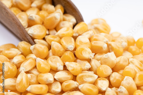 Close up of corn kernel isolated on white background