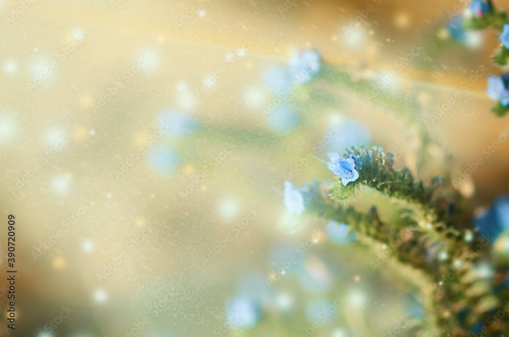 Wildflowers over Defocused Particle Background