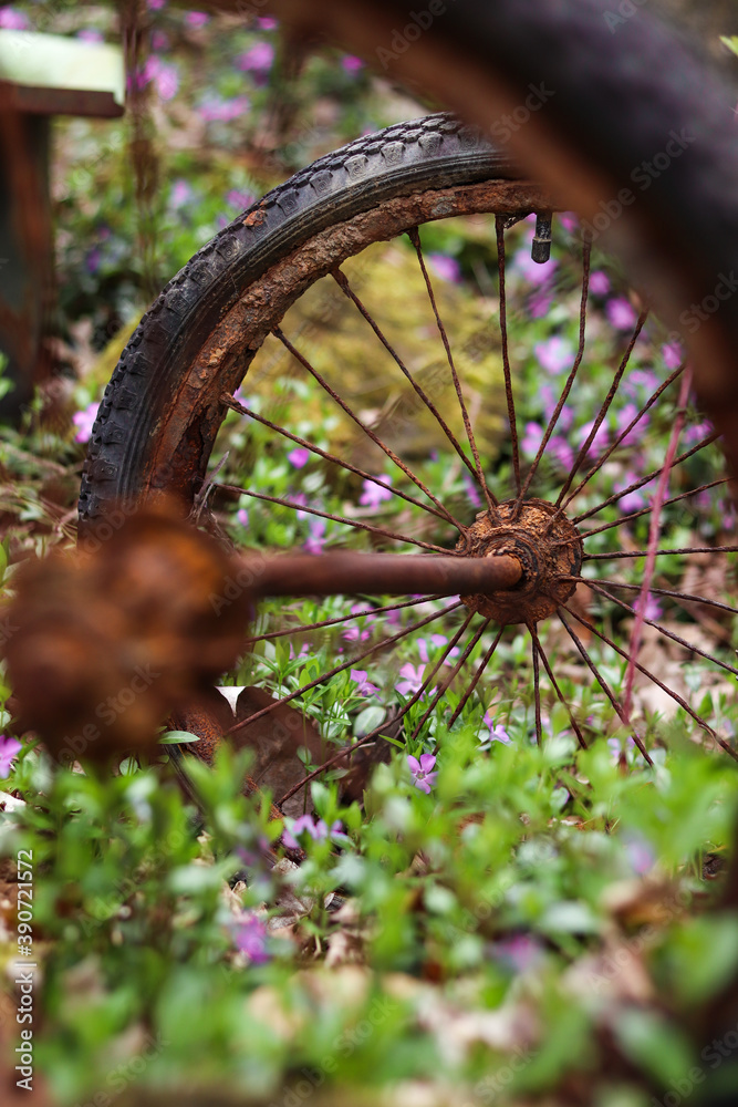 Rusty Wagon Wheels Rusty Wagon Wheels