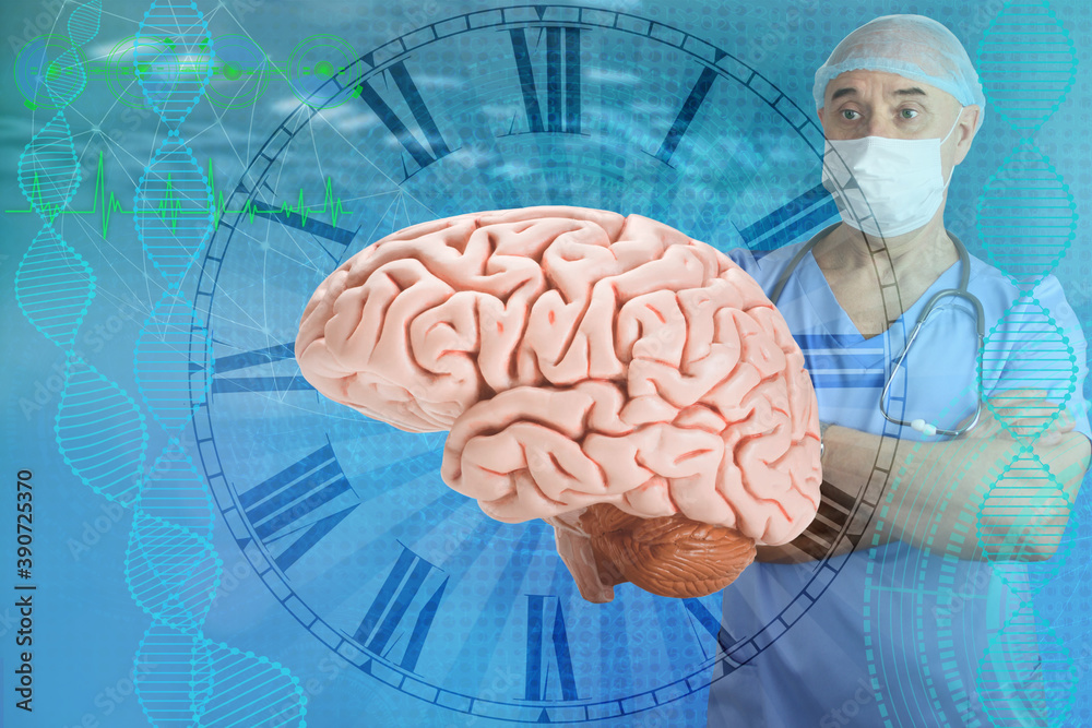 doctor, scientist is studying the human brain, the concept of medical health, intellectual capabilities, studying the activity of the cerebral cortex, psyche and consciousness