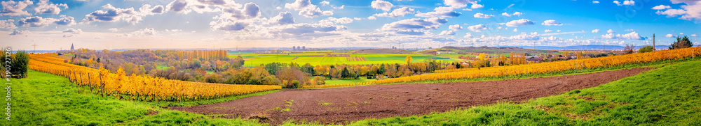 Blick in den Rheingau mit der Flörsheimer Warte in Flörsheim-Wicker im Herbst, Hessen 