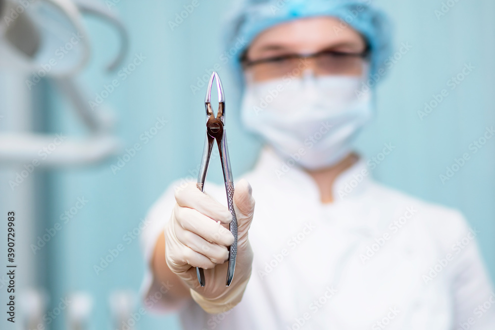 Teeth extraction forceps close-up in the hands of a dentist doctor. Teeth extraction forceps close-up in the hands of a dentist doctor.