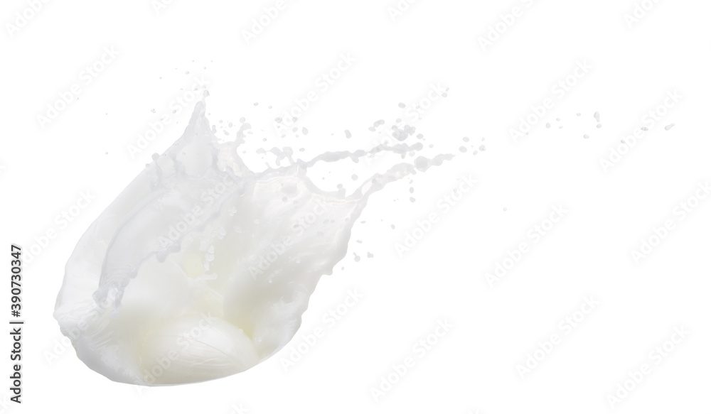 milk splash isolated on a white background