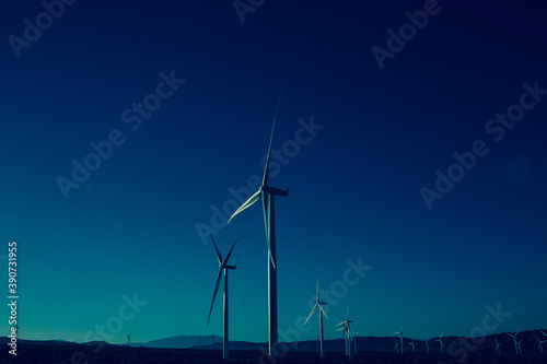 Wind Mill Farm 