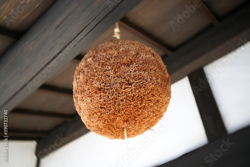 Nara,Japan-October 12, 2020: Sugidama or ball-like object made of Japanese cedar. 
 photo