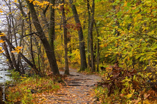 Fototapeta Naklejka Na Ścianę i Meble -  Hiking Trail